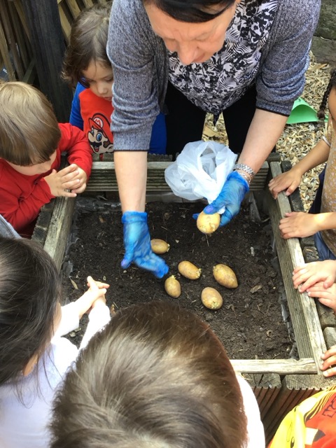 Pre-school children engaged in educational activities and school readiness preparation